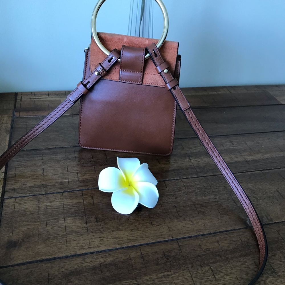 Chloe - Picture 2 of 8